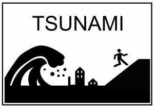 Un Tsunami